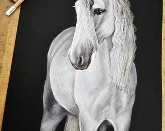 白い馬のパステル画 - リアルな馬のアート、A3 - Etsy 日本
