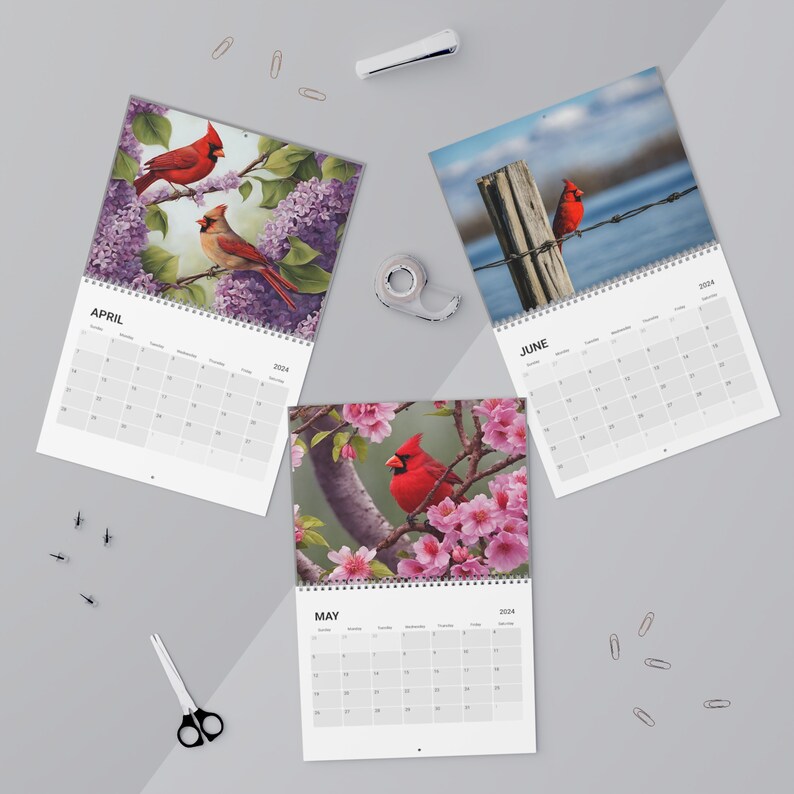 Calendar 2024, Cardinal 2024 Calendar, Monthly Cardinal Calendar, 12
