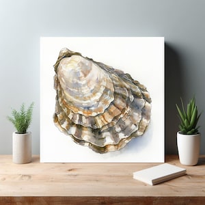 Oyster Shell Canvas Wall Print, Abstract Wall Art, Nautical Decor, Nature Landscape, Bedroom Living Room Decor