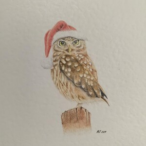 Cartes de Noël - Lot de 5 oiseaux britanniques