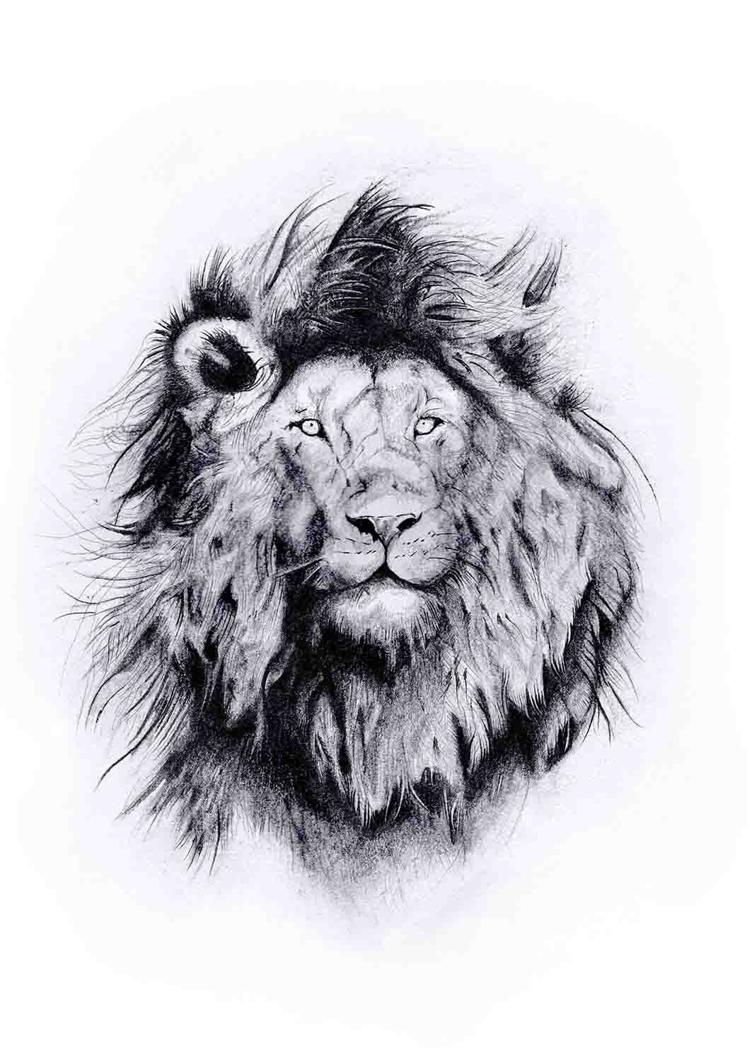 Graphite lion - Etsy België, image size:1063x1502