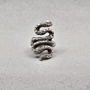 May include: A silver-coloured ring shaped like a coiled snake. The ring has a textured surface with small, raised details, giving it a scale-like appearance. The snake's head is at the top, with the body wrapping around the finger.