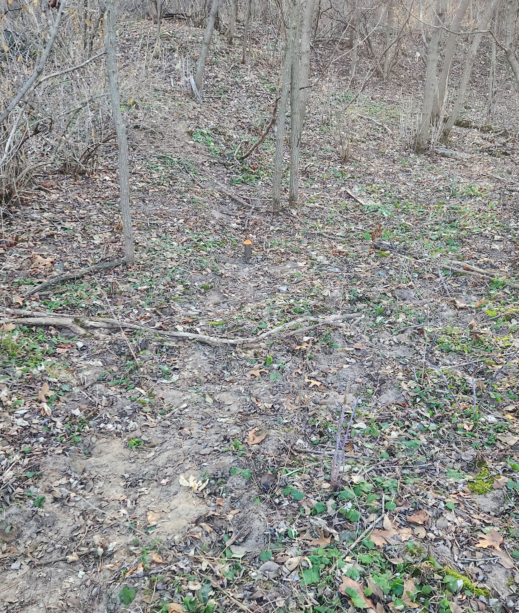 Racoon Trap Topper Bait Saver for Dog Proof Traps Etsy