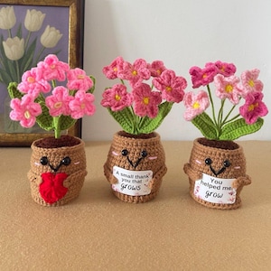 May include: Three crocheted potted flowers with brown yarn pots featuring embroidered faces. The left pot holds a red heart, the centre pot displays a sign reading A small thank you that grows, and the right pot displays a sign reading You helped me grow.