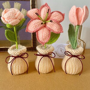 Könnte beinhalten: Drei handgefertigte Häkelblumen: eine Pfingstrose, eine Lilie und eine Tulpe. Jede Blume ist zartrosa, mit grünen Blättern und Stielen. Die Blumen stehen in kleinen, beige gestrickten Töpfen, die mit braunen Bändern gebunden sind. Eine kleine Karte mit Text ist sichtbar.
