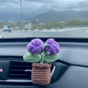Könnte beinhalten: Gehäkelte Pflanze mit zwei lila Blütenköpfen, grünen Blättern und einem braunen Topf. Die handgefertigte Dekoration befindet sich auf dem Armaturenbrett eines Autos. Der Hintergrund zeigt einen bewölkten Himmel und entfernte Berge.