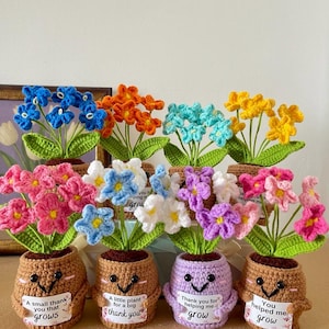 Peut inclure: Huit plantes en pot crochetées avec des fleurs colorées en bleu, orange, bleu clair, jaune, rose, blanc et violet. Chaque pot marron ou violet présente un visage souriant et une petite étiquette blanche avec du texte comme A small thank you that grows.