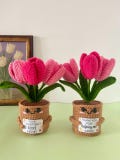 Teacher Gift \u2013 Crochet Flower Plant with Custom Message Plaque \u2013 Teacher Appreciation Desk Decor \u2013 Forever Floral Keepsake product logo