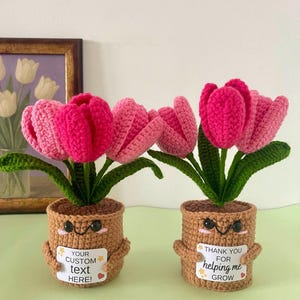 Regalo per insegnanti: pianta di fiori all'uncinetto con targhetta personalizzata con messaggio - Decorazione da scrivania per ringraziare gli insegnanti - Un ricordo floreale che dura nel tempo
