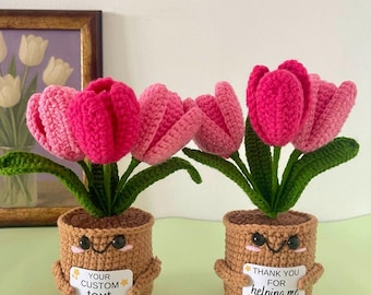 Regalo per insegnanti: pianta di fiori all'uncinetto con targhetta personalizzata con messaggio - Decorazione da scrivania per ringraziare gli insegnanti - Un ricordo floreale che dura nel tempo