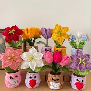 Op de afbeelding: Een verzameling kleurrijke, gehaakte bloemen in kleine potten. De bloemen zijn rood, geel, paars, roze, wit en blauw. Sommige potten hebben lachende gezichten en hartvormige accenten. Een pot heeft de tekst "Keep growing strong you've got this!"