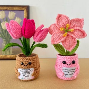 Cadeau pour maman – Fleur au crochet – Décoration végétale pour la fête des mères – Plaque avec message personnalisé – Souvenir floral éternel