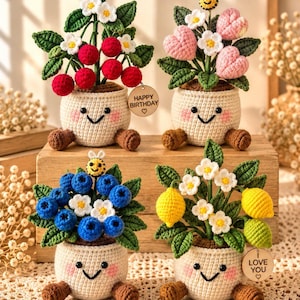 Personlig virkad växtpresent, söt amigurumi-blomkruka, handgjord skrivbordsdekoration, present till mamma mormor lärare, inflyttningspresent