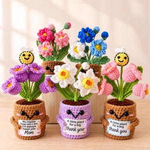 Personalized Crochet Flower Pot with Face – Custom Message Gift in Any Language – Cute Handmade Rose, Tulip, Lily Decor