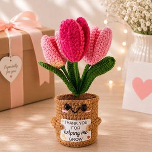 Gepersonaliseerde gehaakte bloempot als cadeau voor een collega, bedankje bij afscheid, aandenken bij vertrek of pensionering, decoratie met eigen boodschap