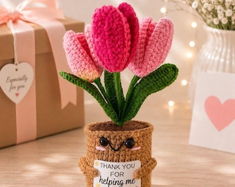 Maceta de ganchillo personalizada, regalo para compañero de trabajo, regalo de agradecimiento por despedida, recuerdo de jubilación o para dejar el trabajo, decoración con mensaje personalizado.