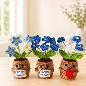 May include: Three crocheted potted plants with brown pots, green leaves, and blue and white flowers. The pots have smiling faces and small arms. Two pots hold white rectangular signs with text: A little plant for a big thank you and Keep growing strong. You've got this!!