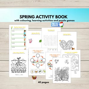 Spring Activity Sheets, Spring Activity Book Printable, Spring Unit Educational Resource, Digital Download,
