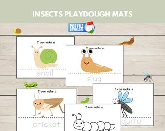 Tapetes de massinha de modelar com insetos para imprimir, cartões visuais de insetos de verão, atividade sensorial, centro de aprendizagem