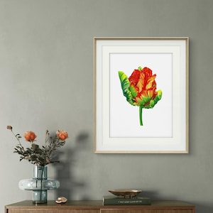 Red and yellow parrot tulip (handmade original botanical watercolor painting), 30 x40 cm., 12 x16 inches.