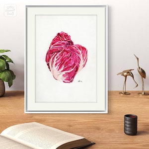 Radicchio di Chioggia, handmade original watercolor painting of a typical Italian vegetable, 21 x 29,7 cm, 8.3x11.7 in.