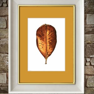 Handmade original botanical watercolor of a brown Magnolia grandiflora leaf, 20x30 cm, 8x12 inches