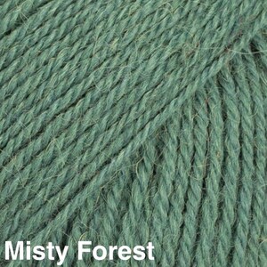 May include: A close-up view of twisted yarn in a deep, muted sage green colour. The fibres have a slightly fuzzy, textured appearance with visible diagonal plies. The text Misty Forest is printed in white at the bottom of the image.