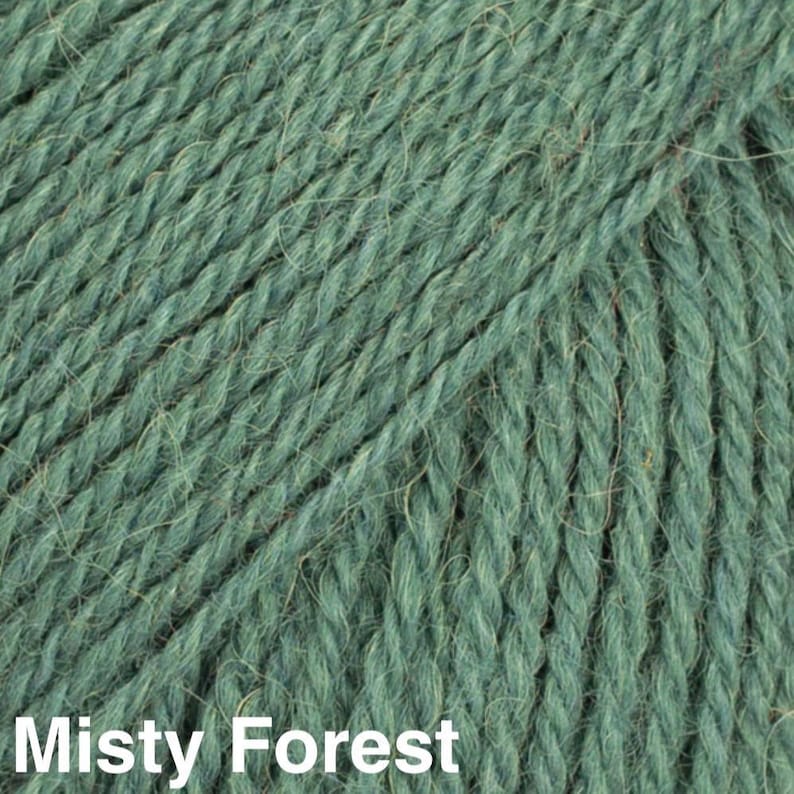 May include: A close-up view of twisted yarn in a deep, muted sage green colour. The fibres have a slightly fuzzy, textured appearance with visible diagonal plies. The text Misty Forest is printed in white at the bottom of the image.