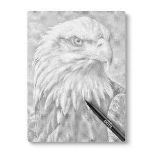Eagle Dot Art Kit: Canvas DIY Prickig Målning Gåva