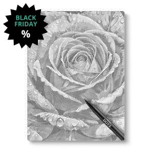 Może przedstawiać: Czarno-biała grafika punktowa róży z czarnym długopisem z napisem DOTZ. Czarny graficzny wybuch gwiazdy ze słowami "BLACK FRIDAY %" znajduje się w lewym górnym rogu. Grafika znajduje się na białym tle.