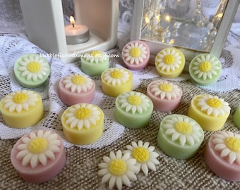 Wax Melts Highly Scent Daisy Shaped Handcrafted Box of 6 Fragrance Of Your Choice