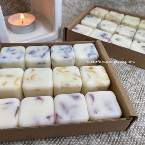 Botanical Soy Wax Melts: aromatherapie met etherische olie, 12-delige veganistische collectie