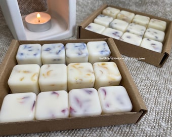 Botanical Soy Wax Melts: Essential Oil Aromatherapy, 12-Piece Vegan Collection
