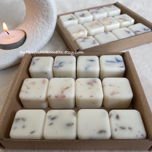 Soy Wax Melts Handmade Botanical Collection 12 pcs Pack Highly Scented Vegan Friendly