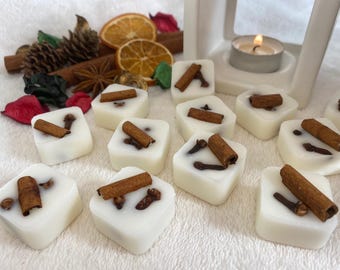 Cire de soja fondante parfum botanique d&#39;hiver de Noël fait main hautement parfumé