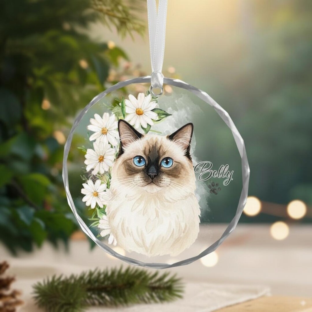 Personalized Pet Memorial Ornament With Photo - Custom Dog Cat Name ...