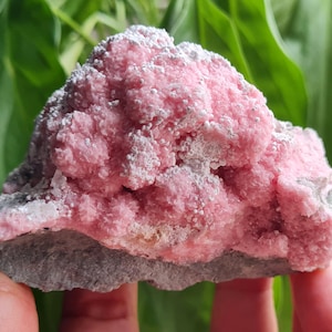 Rhodochrosiet met calciet uit de Cavnic-mijn, Cavnic, Karpaten, Roemenië. Prachtig Roemeens pastelroze rhodochrosiet-exemplaar
