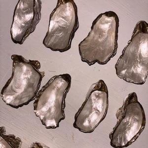 May include: A collection of decorative oyster shell dishes. Each shell has a pearlescent interior and a metallic gold-coloured rim. The shells are arranged on a light-coloured surface, showcasing their unique shapes and textures.