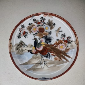Può includere: Piatto decorativo in ceramica con una pittura dettagliata di due pavoni. Il piatto ha uno sfondo bianco con elementi floreali e paesaggistici e un bordo rosso scuro. I pavoni sono dipinti con colori vivaci.