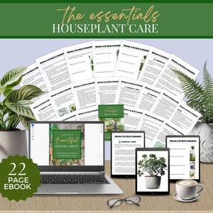 Essentials in Houseplant Care, Care Instructions for Indoor Potted Plants, Light Requirements, Water Fertiliser Temperature & Humidity Guide