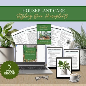 Styling av krukväxter: Designidéer och tips för varje rum, Krukväxtarrangemang, Dekorera med växter, Heminredning och Utställning av inomhusträdgård