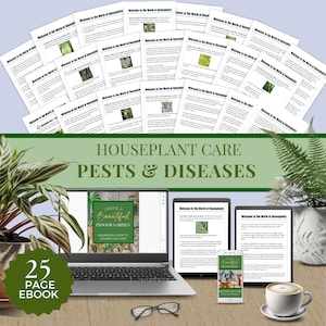 Op de afbeelding: Een e-book van 25 pagina's met de titel "Maak een prachtige binnentuin: Beginnersgids voor kamerplantenverzorging" wordt weergegeven op een laptopscherm. De e-bookomslag toont een groene plant met witte strepen. De laptop staat op een houten tafel met een kopje koffie, een tablet, een smartphone en een bril. De tablet en smartphone tonen ook de e-bookomslag. De achtergrond toont een groene banner met de tekst "Kamerplantenverzorging: Plagen en ziekten".