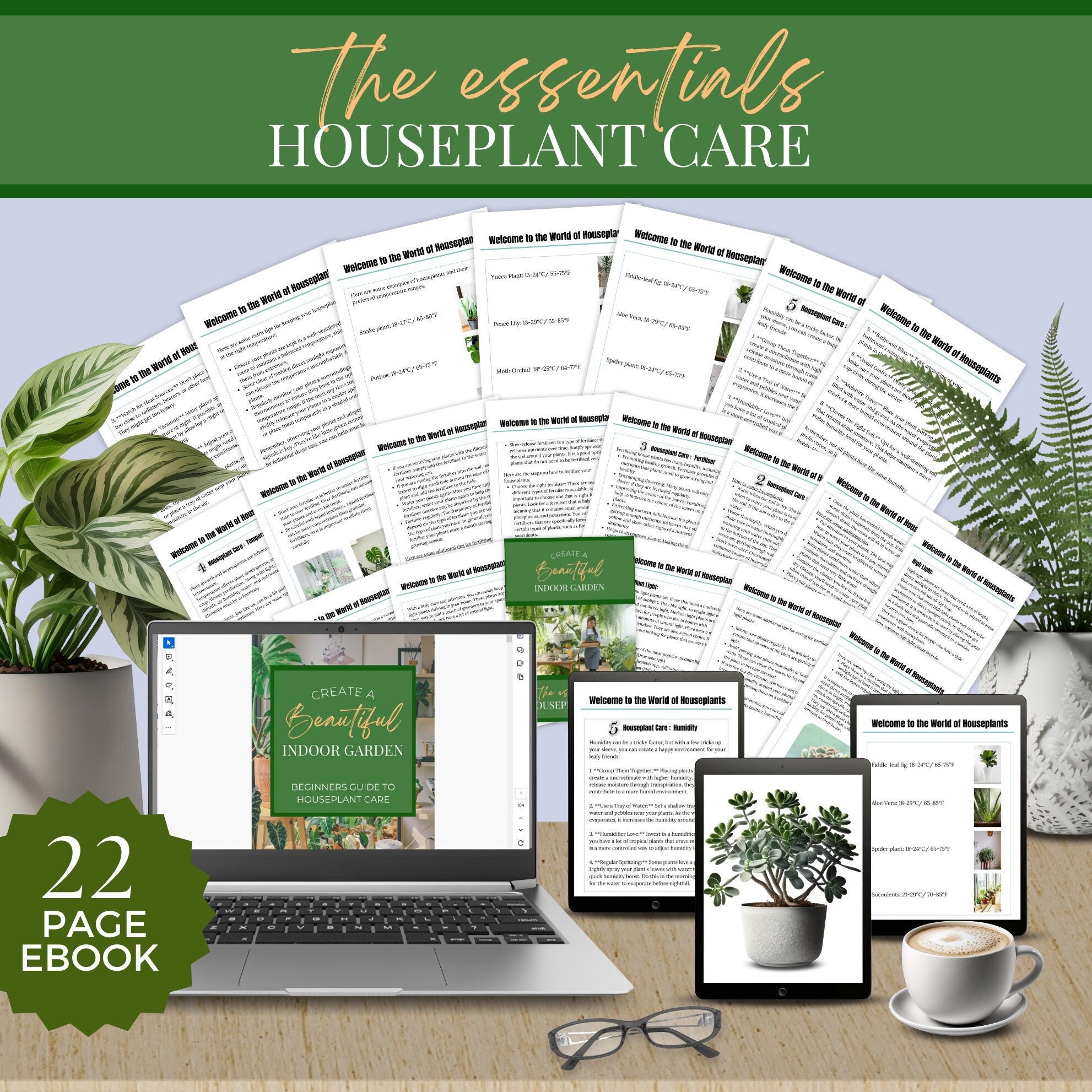 Essentials in Houseplant Care, Care Instructions for Indoor Potted Plants, Light Requirements, Water Fertiliser Temperature & Humidity Guide