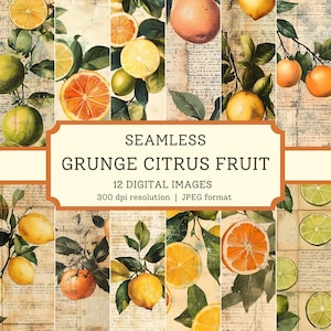 Papier numérique grunge avec agrumes, images transparentes de haute qualité, album de coupures de journaux sur la malbouffe, conception textile oranges, arrière-plans citron vert