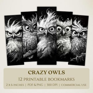 Signets imprimables Crazy Owls, images numériques de haute qualité, téléchargement immédiat, cadeau pour les amoureux du club de lecture, dessins animaux drôles d'oiseaux insolites PNG