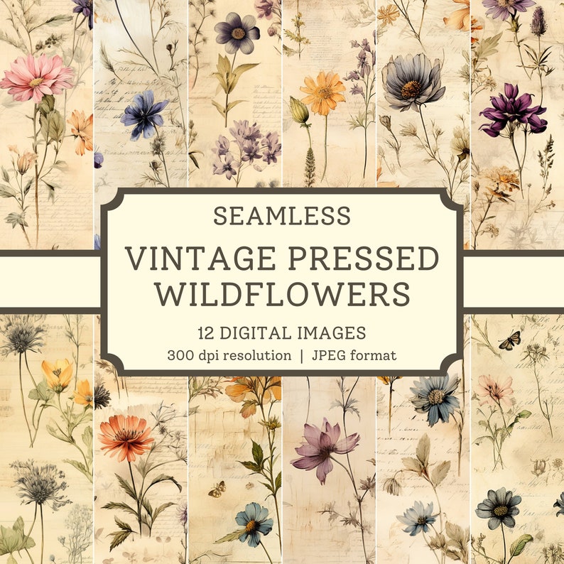 K&ouml;nnte beinhalten: Zw&ouml;lf nahtlose digitale Bilder von Vintage-gepressten Wildblumen in verschiedenen Farben, darunter Lila, Blau, Gelb und Rosa, auf cremefarbenem Hintergrund mit handschriftlichem Text. Die Bilder haben eine Aufl&ouml;sung von 300 dpi und sind im JPEG-Format. Der Text lautet "Seamless Vintage Pressed Wildflowers 12 Digital Images 300 dpi resolution | JPEG format".