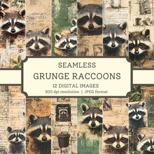 Papier numérique grunge ratons laveurs, images transparentes de haute qualité, carnet imprimable Scrapbooking/modèles de motifs textiles, arrière-plans numériques