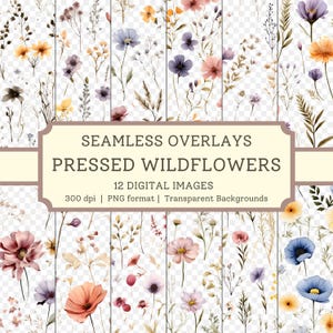 Superposiciones de flores silvestres prensadas, imágenes de alta calidad sin costuras, fondos transparentes, patrones digitales de descarga instantánea, uso comercial