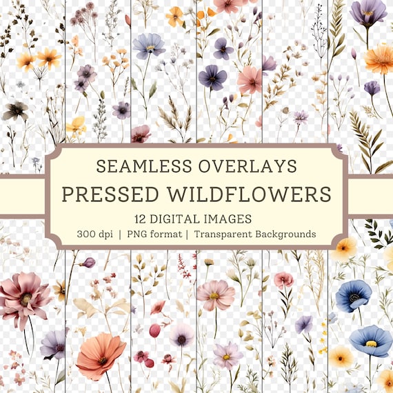 Pressed Wildflowers Overlays, High Quality Seamless Images, Transparent Backgrounds, Instant Download Digital Patterns, Commercial Use