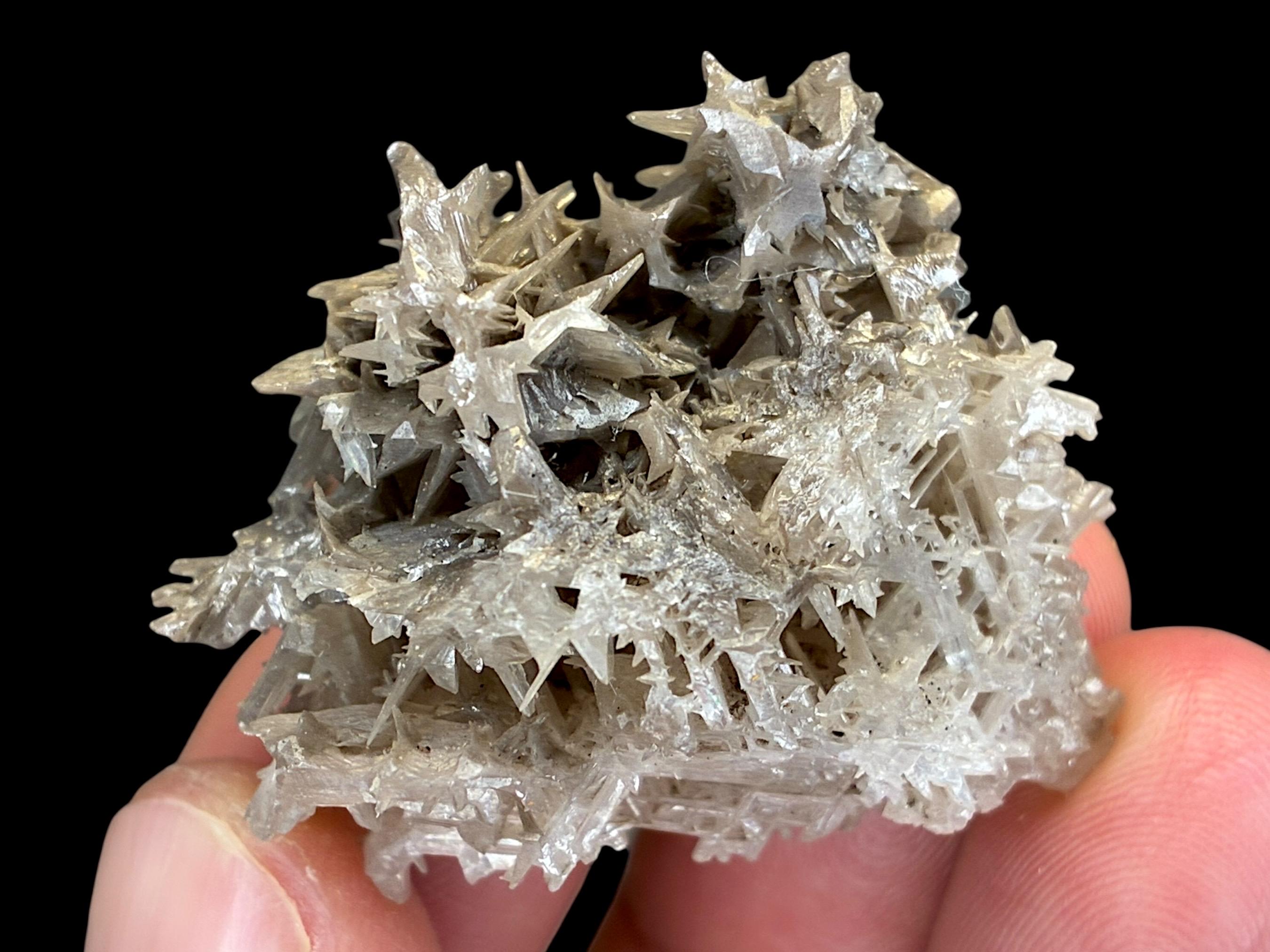 Rare Snowflake Cerussite Crystal Cluster – Raw Mineral Cerussite ...